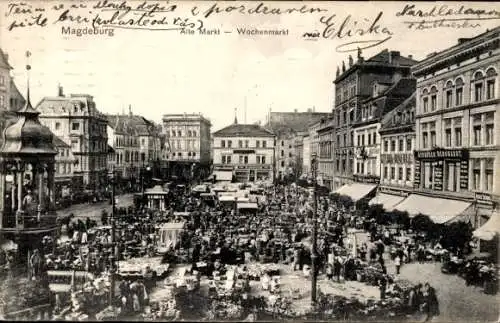 Ak Magdeburg an der Elbe, Alte Markt, Wochenmarkt