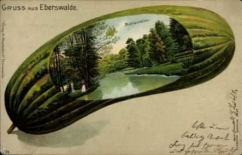 Gurken Litho Eberswalde, Mühlenteich