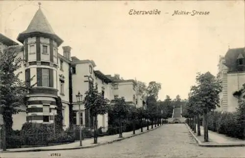 Ak Eberswalde, Moltkestraße, Villen