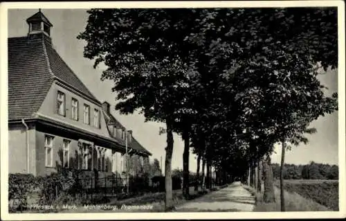 Ak Friesack in der Mark, Mühlenberg, Promenade