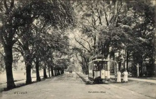 Ak Weimar in Thüringen, Belvedere-Allee, Straßenbahn