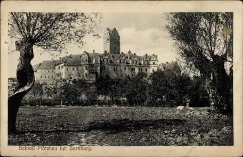 Ak Plötzkau in Sachsen Anhalt, Schloss