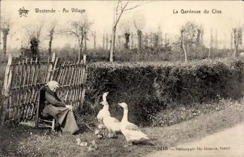 Ak Westende Westflandern, alte Bäuerin mit Gänsen