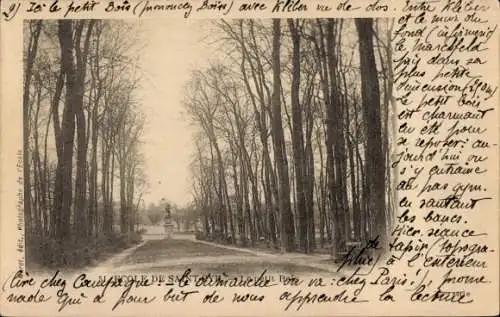 Ak Saint Cyr l’Ecole Yvelines, Petit Bois