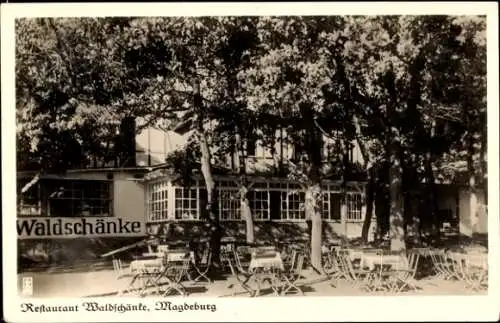 Ak Magdeburg an der Elbe, Restaurant Waldschänke, Biederitzer Busch, Außenansicht