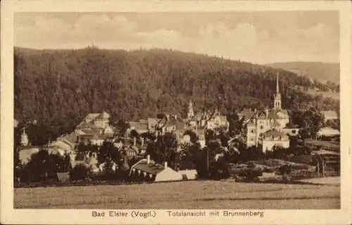 Ak Bad Elster im Vogtland, Totalansicht, Brunnenberg