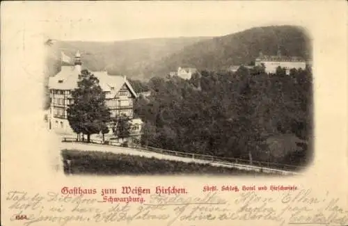 Ak Schwarzburg in Thüringen, Gasthaus zum weißen Hirschen, Fürstliches Schloss, Kirschwiese