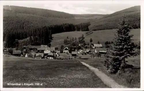 Ak Wildenthal Eibenstock im Erzgebirge, Totalansicht