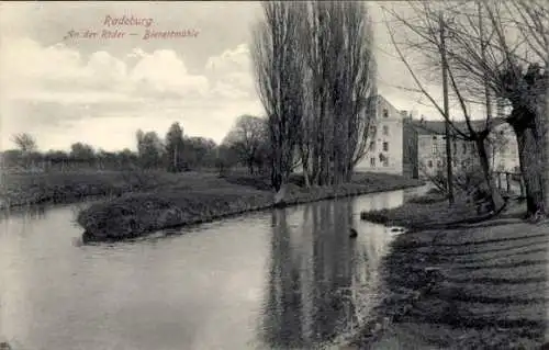 Ak Radeburg in Sachsen, Bienertmühle, Röder