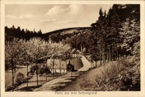 Ak Seiffen im Erzgebirge, Seiffenergrund, Panorama