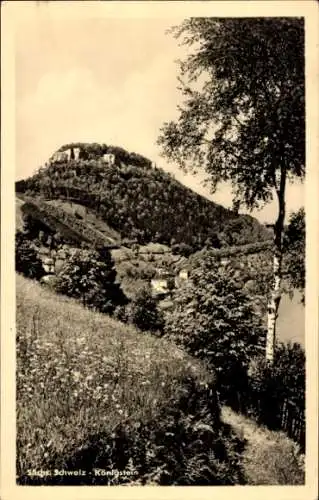 Ak Königstein an der Elbe Sächsische Schweiz, Feldweg, Berg