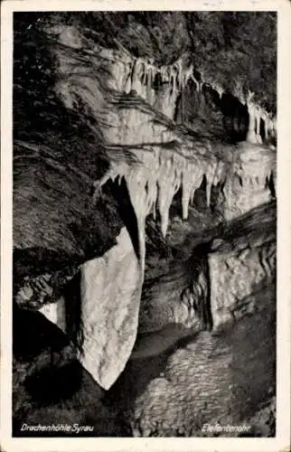 Ak Syrau Rosenbach im Vogtland, Drachenhöhle, Elefantenohr