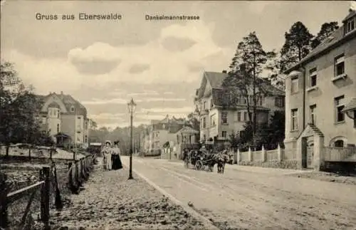 Ak Eberswalde, Dankelmannstraße, Villen