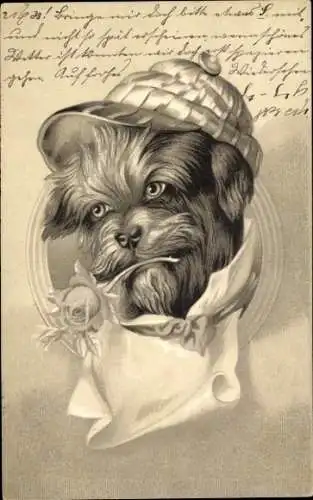 Präge Passepartout Litho Terrier mit einer Mütze und Rose im Maul, Kitsch