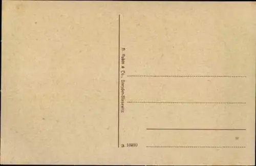 Ak Lemgo in Lippe, Schloss Brake