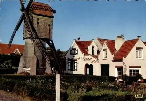 Ak Wenduine Wenduyne De Haan Westflandern, Windmühle