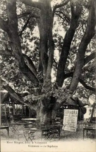 Ak Villennes sur Seine Yvelines, Sophora