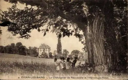 Ak Évian les Bains Haute Savoie, Le Chataignier de Neuvecelle et l'Hermitage-Hotel