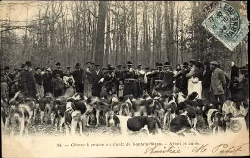 Ak Fontainebleau Seine et Marne, Chasse a courre en Foret, Avant la curee