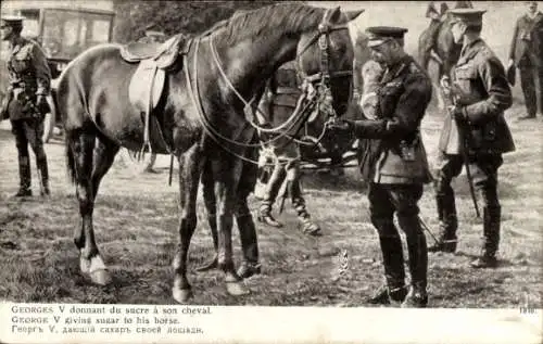 Ak George V gibt seinem Pferd Zucker