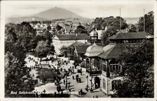 Ak Szczawno Zdrój Bad Salzbrunn Niederschlesien, Elisenhalle, Hochwald