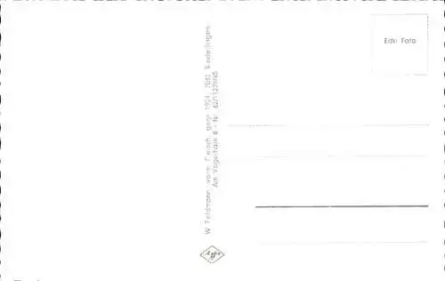 Ak Peterzell Sankt Georgen im Schwarzwald, Gesamtansicht, Straße