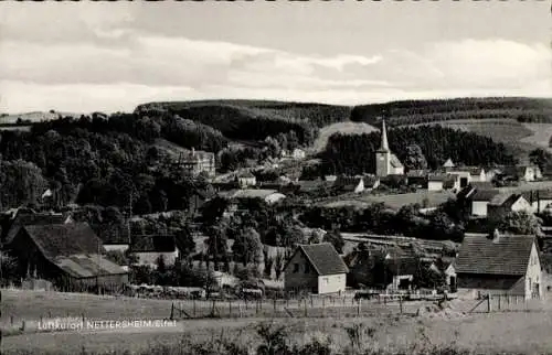 Ak Nettersheim in der Eifel, Gesamtansicht, Herz-Jesu-Kloster