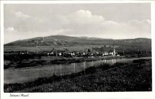 Ak Detzem an der Mosel, Gesamtansicht