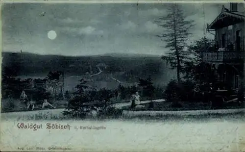 Mondschein Ak Bad Reiboldsgrün Auerbach im Vogtland, Waldgut Zöbisch