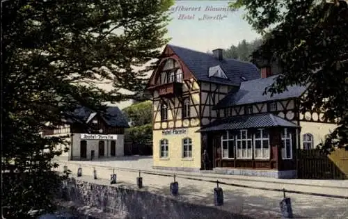 Ak Blauenthal Eibenstock im Erzgebirge, Hotel Forelle, Inh. Max Meyer