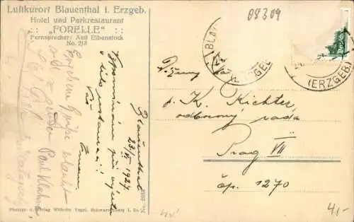 Ak Blauenthal Eibenstock im Erzgebirge, Hotel Forelle, Inh. Max Meyer