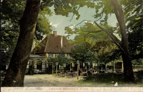 Ak Uelzen in Niedersachsen, Gasthaus Fischerhof, Gartenansicht