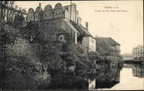 Ak Halle an der Saale, Dom, Partie an der Saale