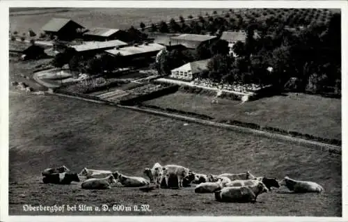 Ak Oberberghof Ulm an der Donau, Fliegeraufnahme