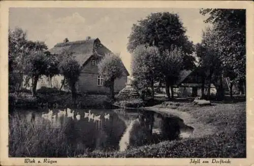 Ak Wiek auf Rügen, Dorfteich, Wohnhaus