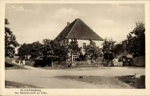 Ak Dommitzsch an der Elbe, Plantshaus, Walter Köring