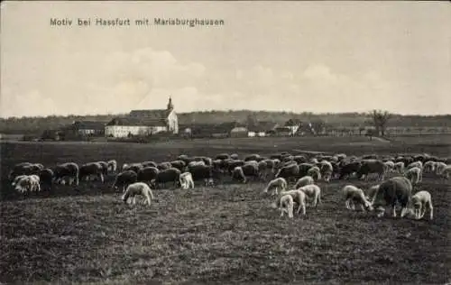 Ak Mariaburghausen Haßfurt Unterfranken, Schafe, Kirche, Wiese