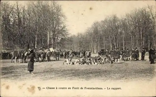 Ak Foret de Fontainebleau Seine et Marne, Jagd, der Bericht, Die Hunde