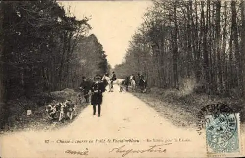 Ak Foret de Fontainebleau Seine et Marne, Chasse a Courre en Foret, En Route pour la Brisee