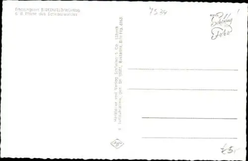 Ak Birkenfeld in Württemberg, Panorama