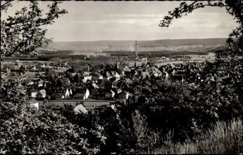 Ak Obernburg am Main Unterfranken, Panorama