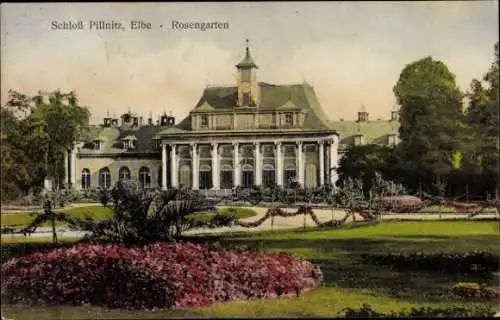 Ak Dresden Pillnitz, Schloss Pillnitz, Rosengarten