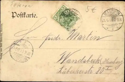 Ak Malchin in Mecklenburg, Totalansicht, Bootsanleger