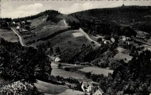 Ak Bad Meinberg am Teutoburger Wald, Lippische Schweiz, Panorama