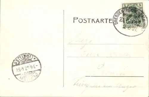 Ak Zwickau in Sachsen, Albertplatz, Markt, Paradiesbrücke, Ebertschlösschen, Moritzkirche