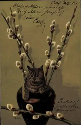 Künstler Litho Mailick, Katze, Ostern, Weidenkätzchen