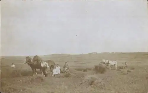 Foto Ak Bauern mit Pferdepflügen auf dem Feld