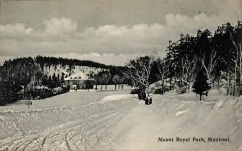 Ak Montreal Québec Kanada, Mount Royal Park, Winter