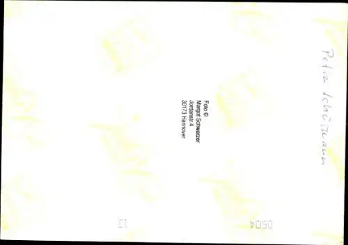 Ak Fernsehmoderatorin Petra Schürmann, Portrait, Autogramm