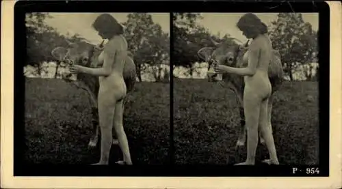 Stereo Foto Erotik, Frauenakt, stehend, mit einer Kuh